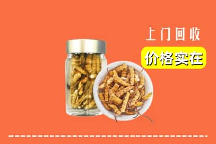 收购资讯:沈阳康平县回收散虫草