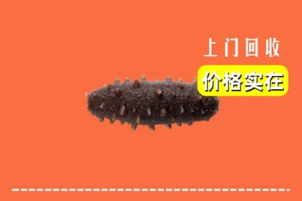 收购资讯:沈阳康平县回收海参