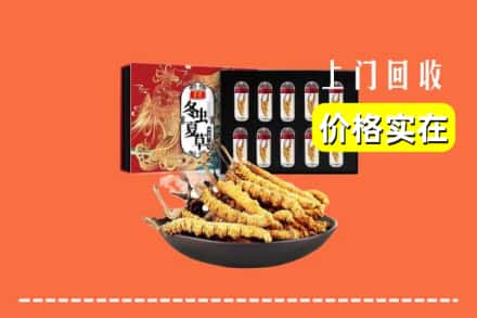 沈阳康平县回收虫草